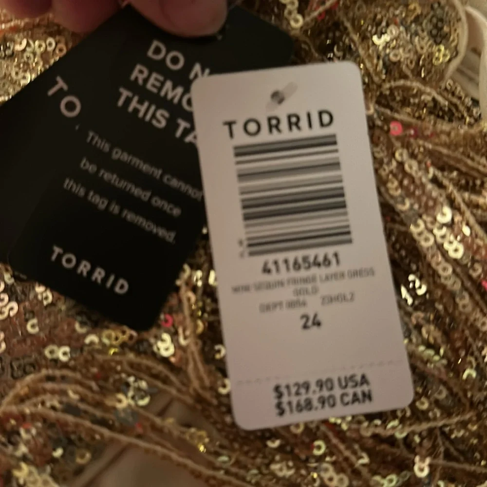NWT Mimi Sequin Fringe Layer Dress from Torrid - Picture 5 of 5